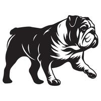 Focused English Bulldog Following a Scent illustration vector