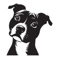 Staffy Dog - A Curious Staffordshire Bull Terrier Dog Face illustration vector