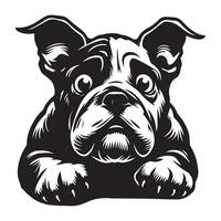 A Fearful bulldog face illustration in black and white vector