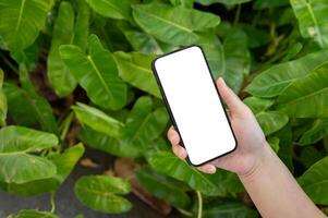 A smartphone mockup is in a woman's hand against a blurred background of green plants. photo