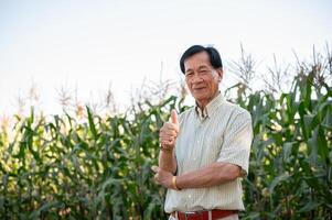 A successful senior Asian farmer stands proudly and shows his thumb up in his corn field. photo
