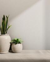 Minimalist ceramic potted plants on a table against a white wall with daylight shadows. photo