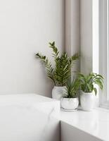 A space on a white marble pedestal against a white wall, featuring potted plants in a room. photo