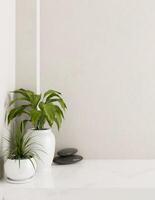 A white console table featuring stones and potted plants against a white wall in a minimalist room. photo