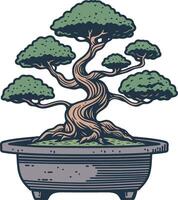 Japanese Bonsai tree illustrations vector