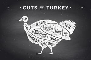 Cut of meat set. Poster Butcher diagram, scheme - Turkey vector