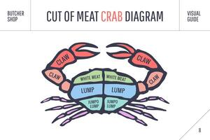 Cut of meat set. Poster Butcher diagram and scheme - Crab vector