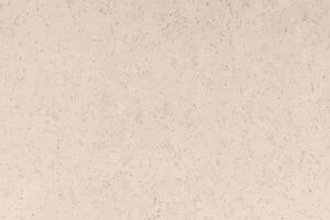 Kraft beige texture, background and wallpaper vector