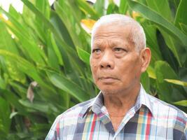 Portrait of a senior man with gray hair, smiling and looking at the camera while standing in a garden. Concept of aged people and healthcare photo