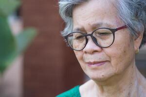 A portrait of an elderly woman with short gray hair, wearing glasses, smiling, and looking down while standing in a garden. Space for text. Concept of aged people and healthcare photo