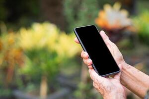 Close-up of hands senior woman holding a smartphone while standing in a garden. Space for text. Concept of aged people and communication photo