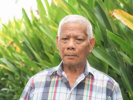 Portrait of a senior man with gray hair, smiling and looking at the camera while standing in a garden. Concept of aged people and healthcare photo