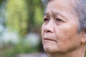 Side view of face senior woman photo