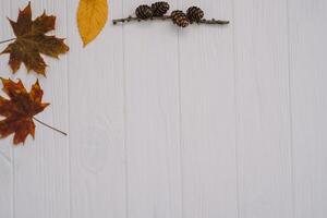 Background texture with old wooden table and yellow autumnal leaves. Autumn maple leaves on wooden background with copy space. Top view. photo