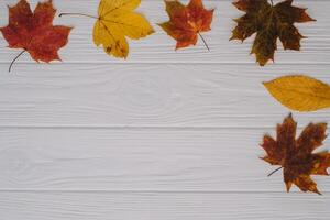 Background texture with old wooden table and yellow autumnal leaves. Autumn maple leaves on wooden background with copy space. Top view. photo