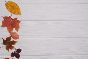 Background texture with old wooden table and yellow autumnal leaves. Autumn maple leaves on wooden background with copy space. Top view. photo