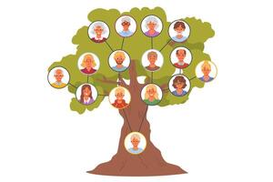 Family tree with different generations to track genus and connections between relatives vector