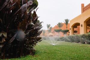 Modern device of irrigation garden. Irrigation system - technique of watering in the garden. Lawn sprinkler spraying water over green grass. photo