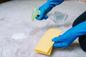 people, housework and housekeeping concept - close up of woman in rubber gloves with cloth and derergent spray cleaning carpet at home. close up of woman with cloth cleaning carpet photo