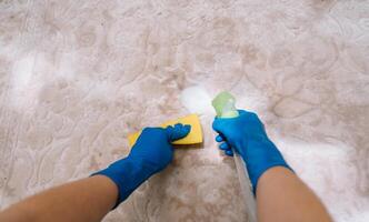 people, housework and housekeeping concept - close up of woman in rubber gloves with cloth and derergent spray cleaning carpet at home. close up of woman with cloth cleaning carpet photo