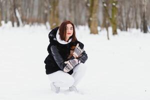 joven elegante mujer con un perro teniendo divertido en un invierno bosque. foto