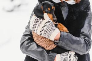 mujer es caminando durante invierno con su perro foto