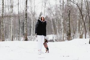 Young stylish woman with a dog having fun in a winter forest. photo