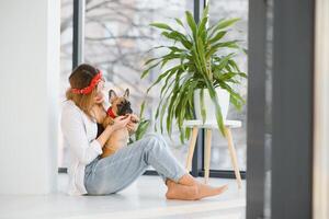 Cheerful young woman holding her big puppy with black nose and laughing. Indoor portrait of smiling girl posing with french bulldog photo