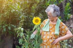 Portrait of an elderly woman with short gray hair wearing glasses and looking at a sunflower while standing in a garden. Concept of age people and relaxation photo