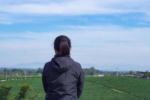 espalda ver de un mujer en pie mirando a el té plantación. espacio para texto. concepto de personas y viaje foto