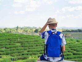 Back view of a young man with a travel backpack enjoying the natural environment of green tea plantation photo