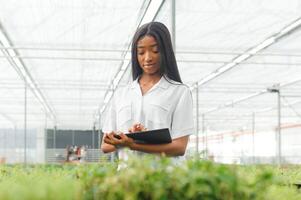 Agriculture management. Smiling african american girl makes photo of flowers plantation in greenhouse, side view, free space