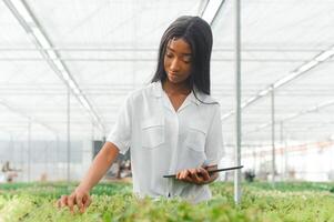 hermosa joven sonriente africano americano chica, trabajador con flores en invernadero. concepto trabajo en el invernadero, flores foto