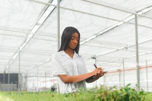 Beautiful young smiling african american girl, worker with flowers in greenhouse. Concept work in the greenhouse, flowers. photo