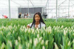 Agriculture management. Smiling african american girl makes photo of flowers plantation in greenhouse, side view, free space