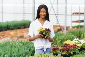 Spring and seedlings. Smiling african american girl in apron carries a box with young plants on flowers background in interior of greenhouse photo