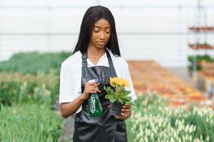 Agriculture management. Smiling african american girl makes photo of flowers plantation in greenhouse, side view, free space