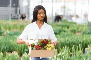 Spring and seedlings. Smiling african american girl in apron carries a box with young plants on flowers background in interior of greenhouse photo