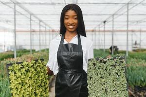 Spring and seedlings. Smiling african american girl in apron carries a box with young plants on flowers background in interior of greenhouse photo