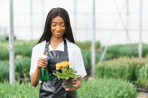 Spring and seedlings. Smiling african american girl in apron carries a box with young plants on flowers background in interior of greenhouse photo