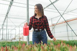 Young female nursery watering beauty flowers in her greenhouse. Concept of taking care of plants photo