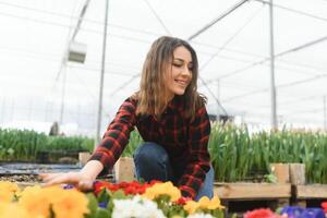 hermosa joven sonriente chica, trabajador con flores en invernadero. concepto trabajo en el invernadero, flores foto