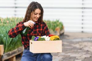 Beautiful young smiling girl, worker with flowers in greenhouse. Concept work in the greenhouse, flowers. photo