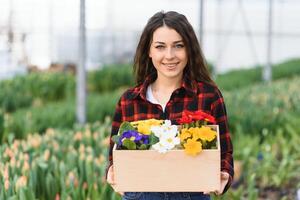 Beautiful young smiling girl, worker with flowers in greenhouse. Concept work in the greenhouse, flowers, tulips, box with flowers. Copy space. photo