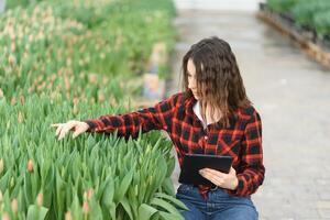 Beautiful young smiling girl with tablet, worker with flowers in greenhouse. Concept work in the greenhouse, flowers. photo