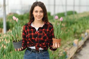 Beautiful young smiling girl, worker with flowers in greenhouse. Concept work in the greenhouse, flowers, tulips, box with flowers. Copy space. photo