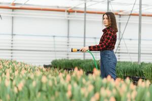 Beautiful young smiling girl, worker with flowers in greenhouse. Concept work in the greenhouse, flowers. photo