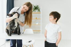 Veterinarian woman examines the dog and pet her. Animal healthcare hospital with professional pet help photo