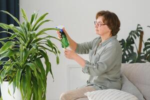 Home plants. Joyful happy woman standing near the plant while spraying it with water photo