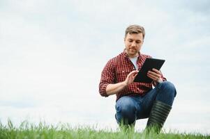 young farmer holding a tablet and checking the progress of the harvest at the green wheat fieldt. Worker tracks the growth prospects. Agricultural concept. photo